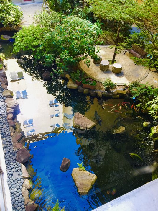 落ち着いた中庭の風景
