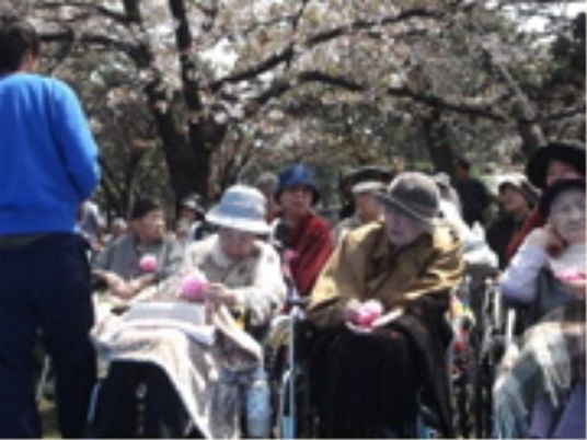 桜の下で過ごす人々