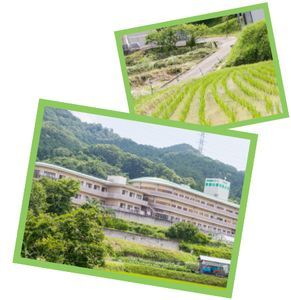 緑に囲まれた建物