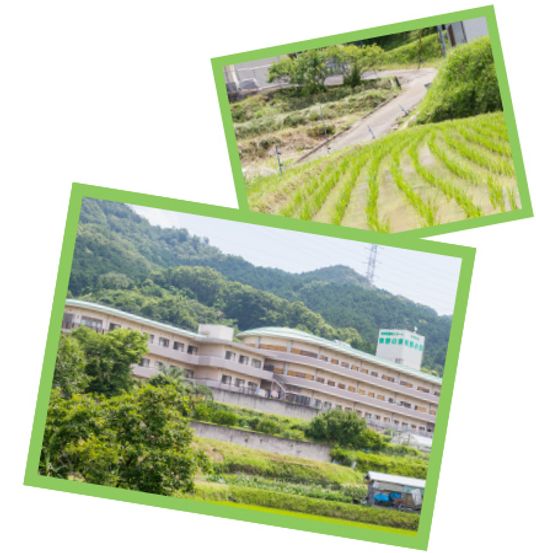 緑に囲まれた建物
