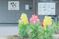 和やかなエントランス