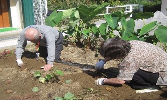屋外で作業する様子