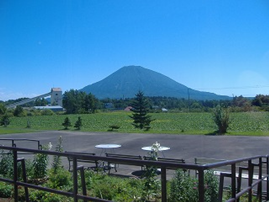 自然豊かな景色の庭