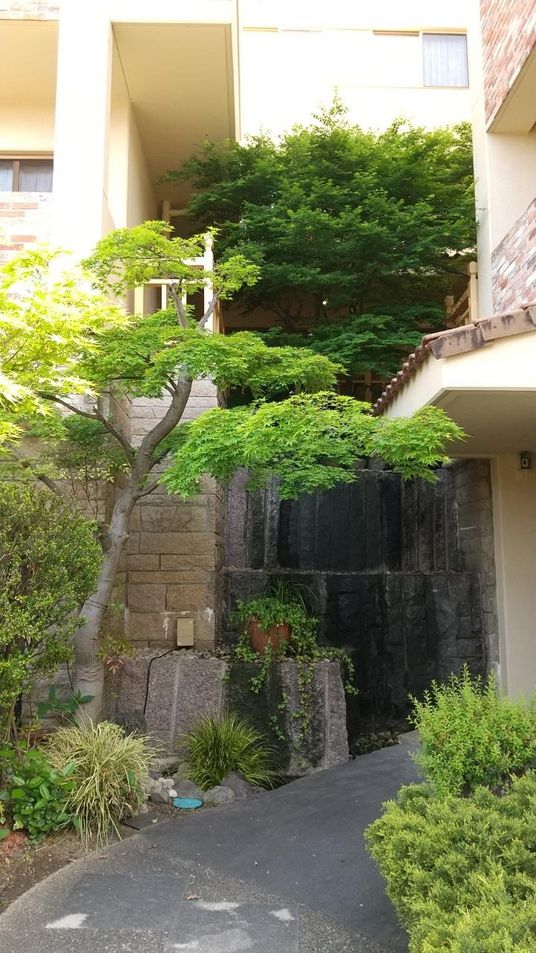 温かみのある外観