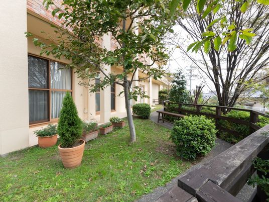 緑豊かな中庭風景