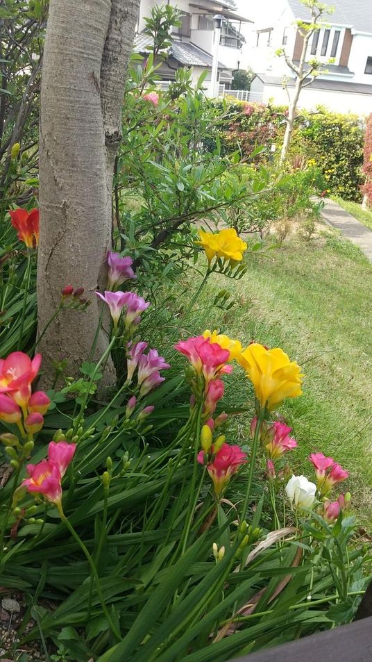 緑豊かな施設の庭