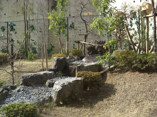 緑豊かな中庭風景