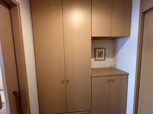 整然とした木製クローゼット