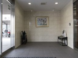 エントランスの壁と床