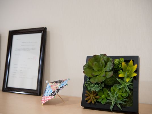 室内装飾と観葉植物