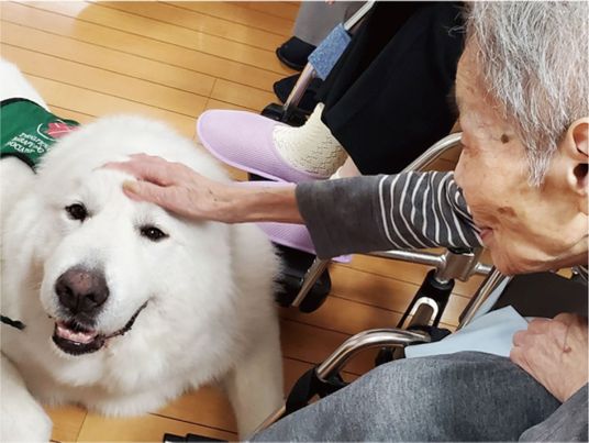 犬と触れ合う入居者