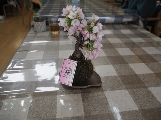 桜の飾りがある食堂  