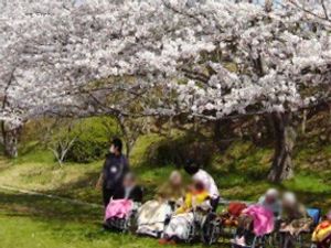 桜の下で休息する人々