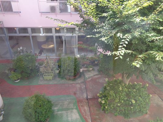 植栽のある中庭  