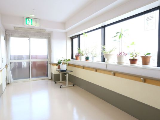 日差し差し込む廊下の風景