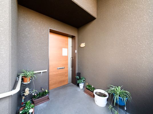明るいエントランスの植物