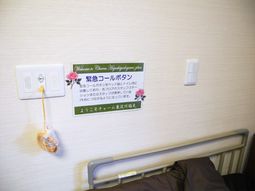 居室の壁とベッドサイド