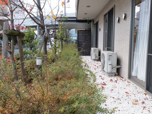 中庭の緑が心地よい風景