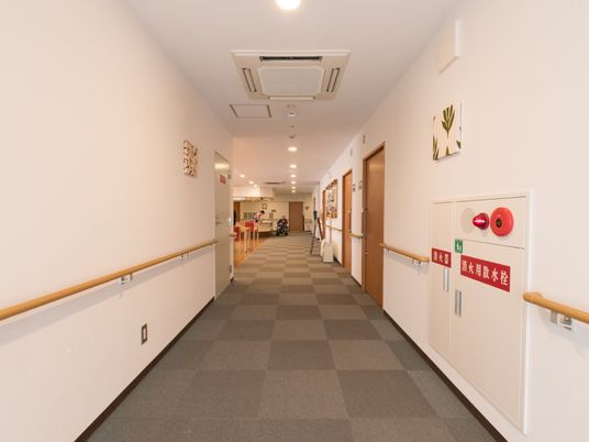  清潔な廊下と装飾  