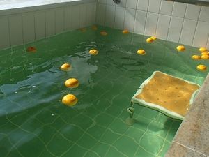 浴槽に浮かぶ柚子の浴室  