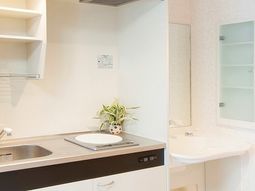 清潔なキッチンと洗面所