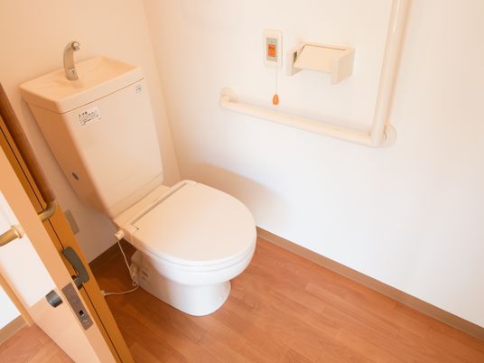 トイレの壁にはＬ字型の手すりとペーパーホルダー、緊急通報装置が設置されている。床はフローリングになっている。