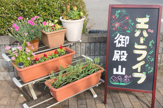 花壇と看板の入口