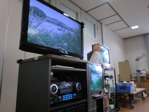 カラオケ機器のある多目的室  