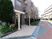 桜樹のある建物のエントランス