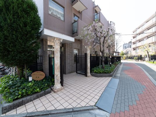 桜樹のある建物のエントランス