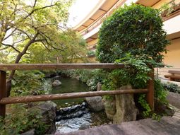 中庭の自然な風景