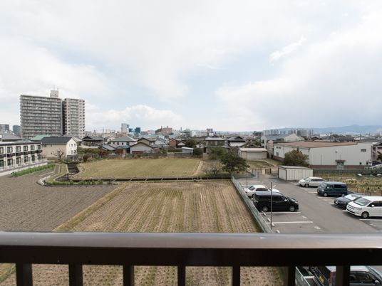 広々とした清々しい景色