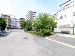 明るい中庭の景観