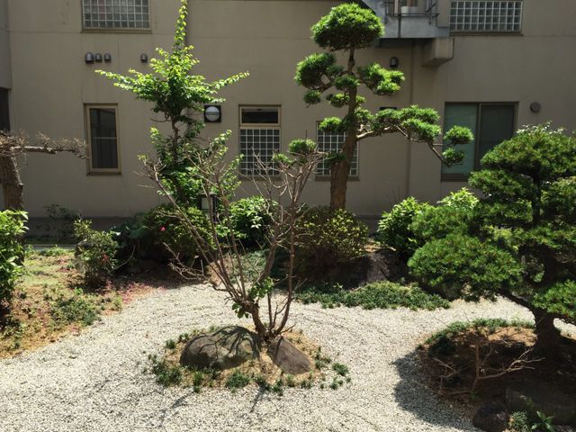 緑豊かな庭 庭 四季折々の自然を感じられる庭です。心地よい静けさが広がり、リラックスできる空間になっています。