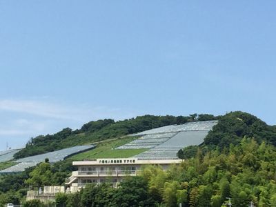 緑に囲まれた建物外観