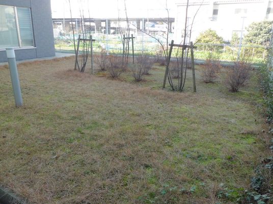 静かな中庭