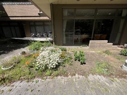 花壇のある庭