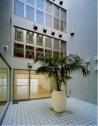 自然光が入る中庭