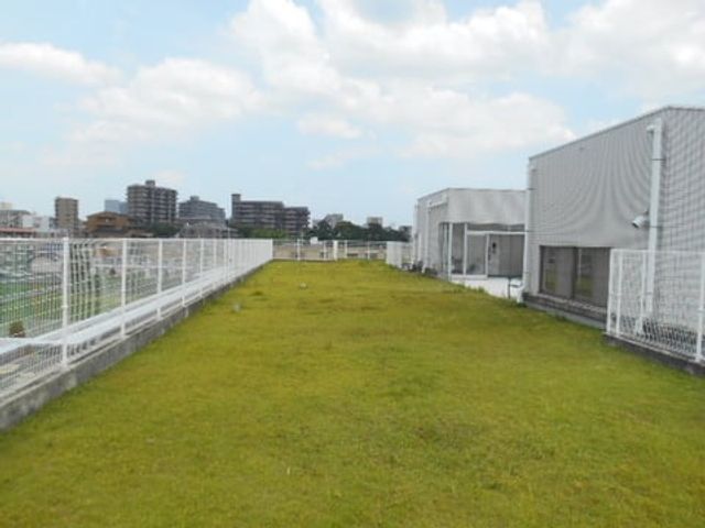 広々とした芝生の庭 庭 日光と風を感じる広々とした庭です。ゆったりとした時間を過ごせます。