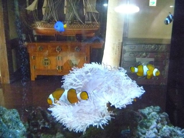 デザイン性のある水槽 内観 おしゃれな水槽が置かれた空間です。観賞魚が泳ぐ姿を眺めながらリラックスできます。