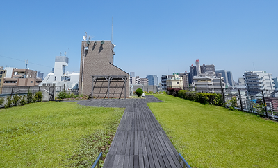 広がる緑の屋上庭園