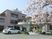 桜のある建物外観  