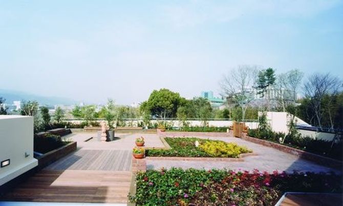 緑豊かな庭園