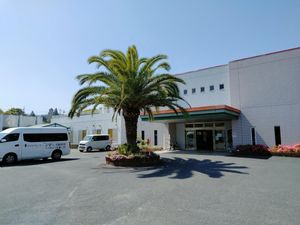 ヤシの木ある玄関前  