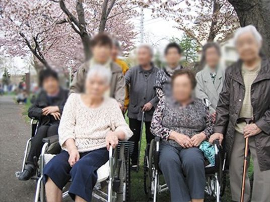桜並木の散策
