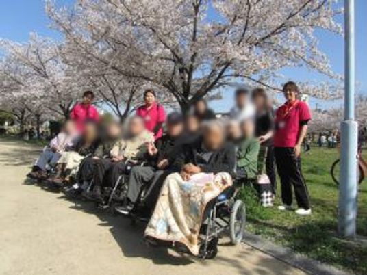 桜の下での散歩