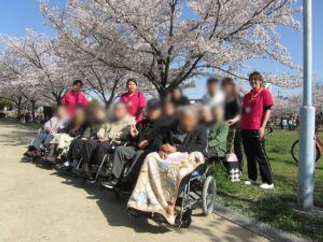 桜の下での散歩