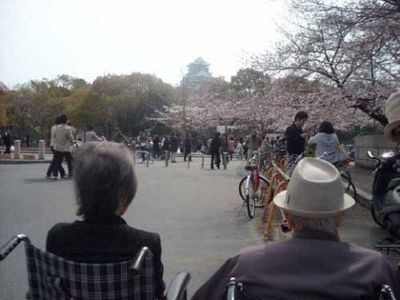 桜と人の絶景中庭