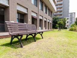 中庭のベンチと緑