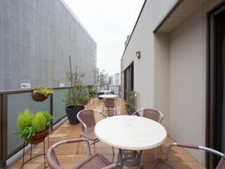 テラスの植栽と家具